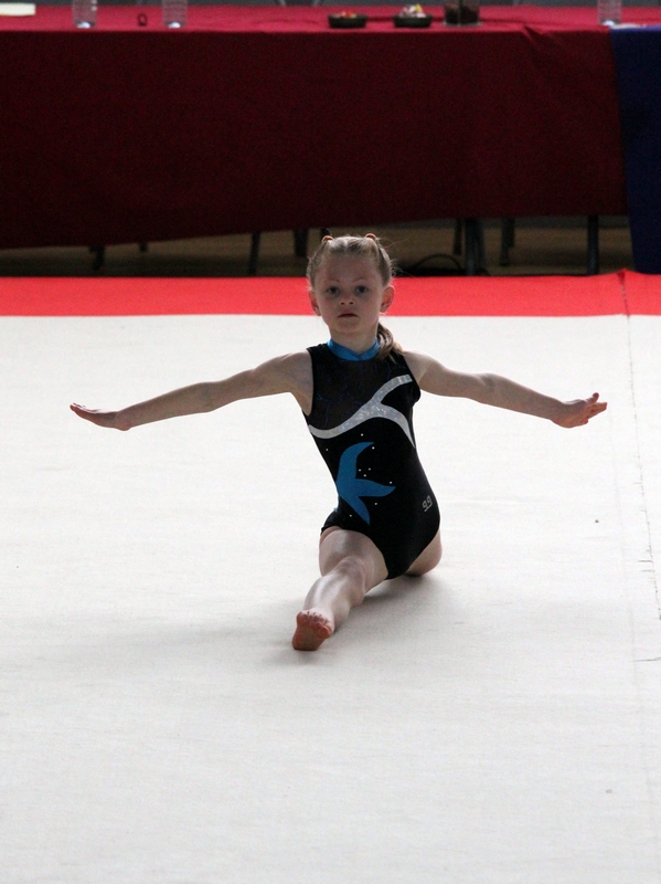 ACCGym2017-22-006.jpg